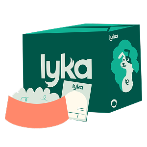 Deliveries & Packaging